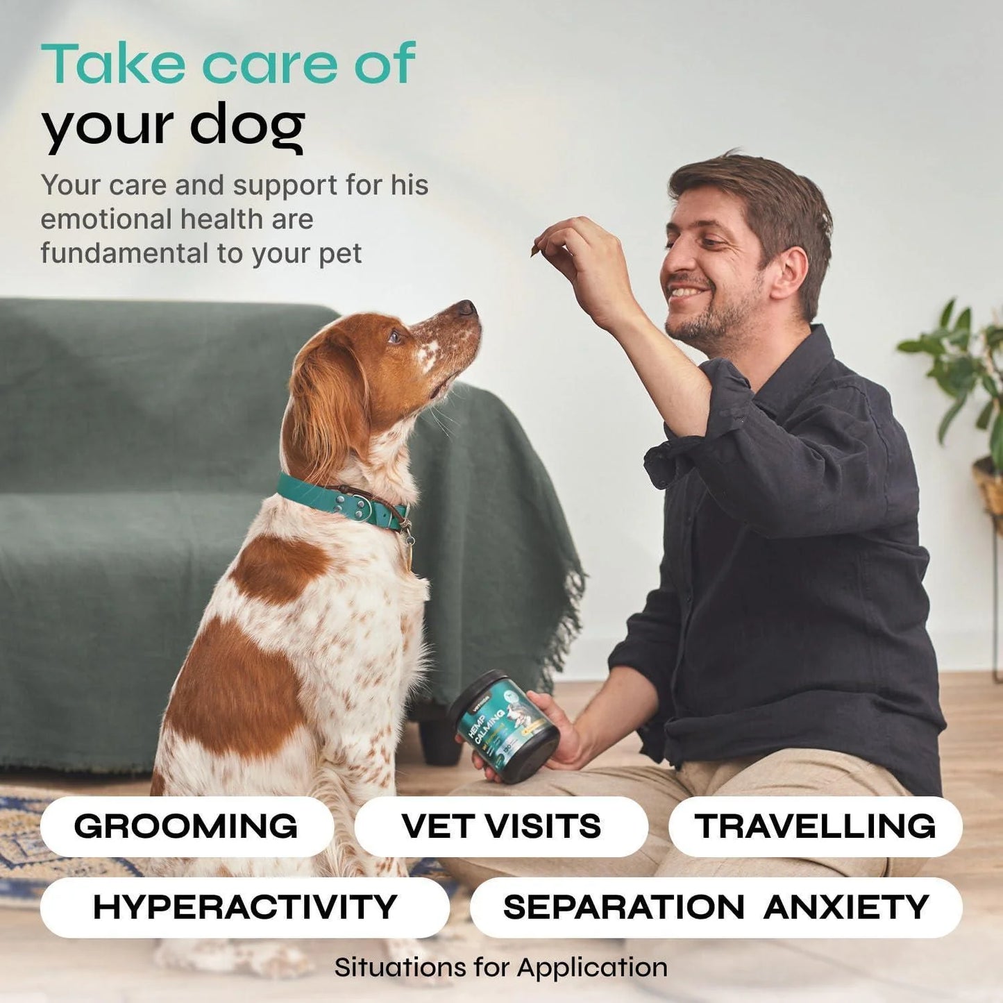 Hemp-Infused Calming Chews for Dog Anxiety Relief