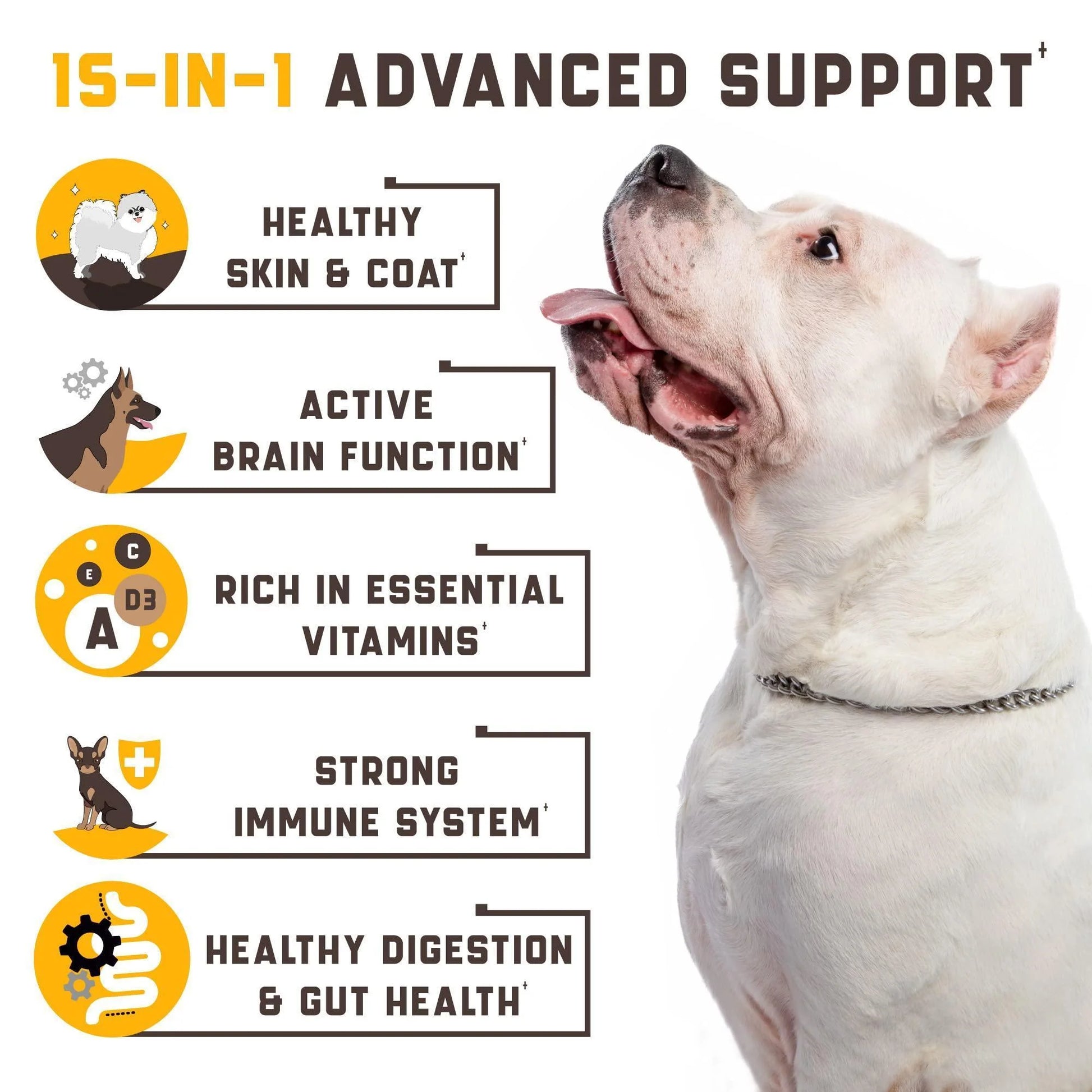 15 in 1 Dog Multivitamin Supplements   Immunity Digestion Joint and Heart Health
