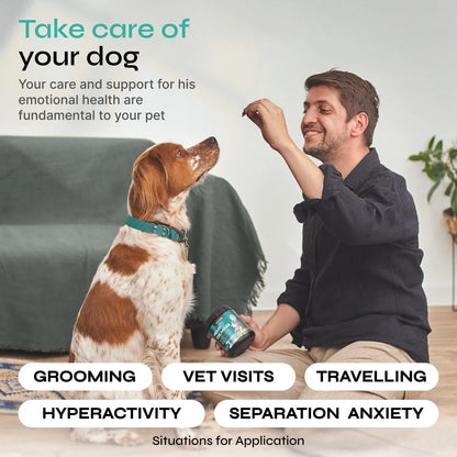 Hemp-Infused Calming Chews for Dog Anxiety Relief